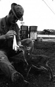 1st Lt. Robert Nowaczyk of Claymont and a Sika deer