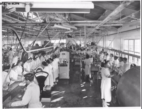 Swift Company Processing Plant