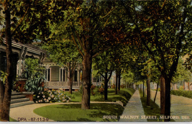 South Walnut Street