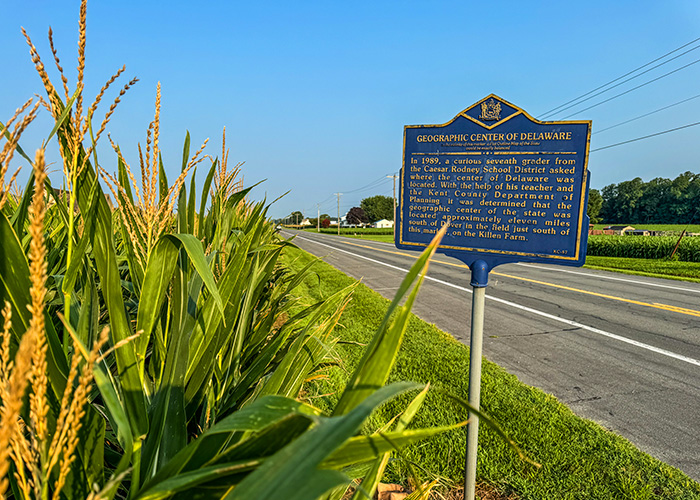 photo of marker