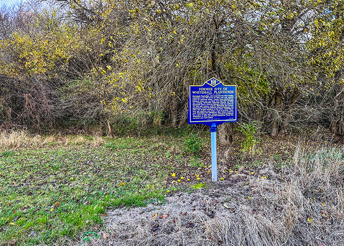 photo of marker
