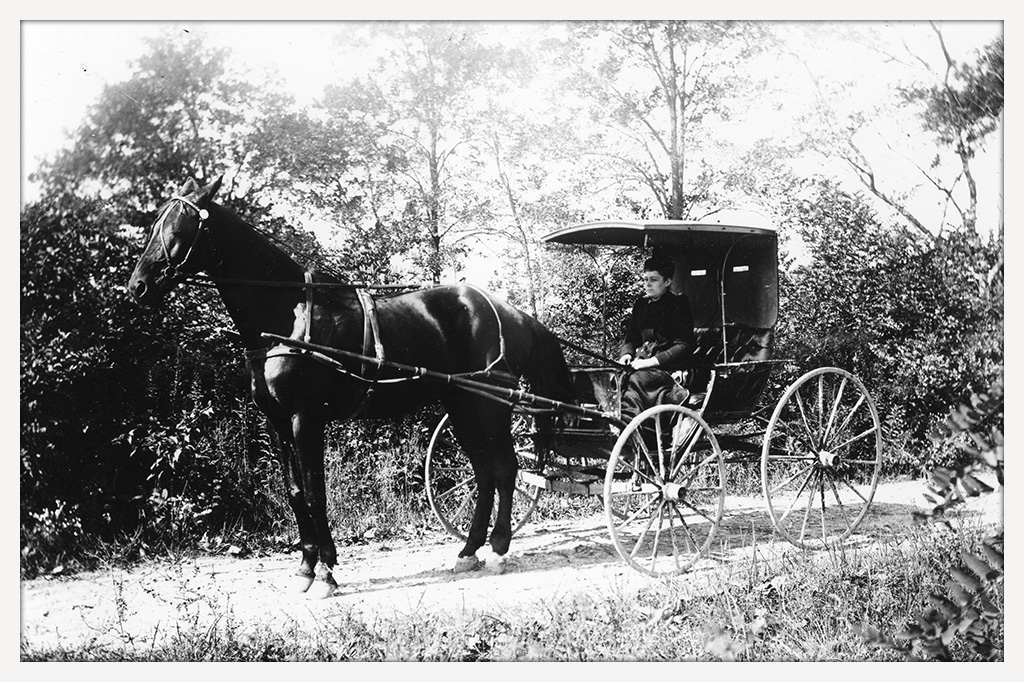 Woman seated at the reins of an open-sided carriage hitched to a dark horse on a tree-lined dirt road.