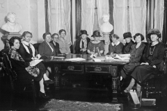 National Women's Party 1920s